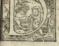 An illustration from Le cento novelle da messer Vincenzo Brugiantino, dette in ottava rima (1554)