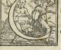 Picture 65 of 68 from Le cento novelle da messer Vincenzo Brugiantino, dette in ottava rima (1554), leaf 515