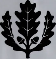Picture 21 of 21 from Le chateau féodal de Saint-Jean à Nogent-le-Rotrou : ses transformations dans le cours des siècles (1912), leaf 220