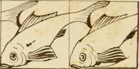 An illustration from Le chiese de Roma I (1910)
