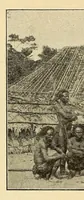 An illustration from Le Congo belge : initiation à la colonisation nationale (1909)