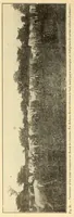 Picture 14 of 18 from Le Congo belge : initiation à la colonisation nationale (1909), leaf 116