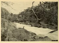 An illustration from Le Congo belge : initiation à la colonisation nationale (1909)