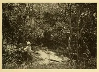 Picture 8 of 18 from Le Congo belge : initiation à la colonisation nationale (1909), leaf 83