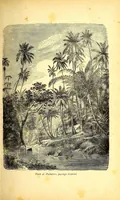 An illustration from Le Congo français illustré : géographie, ethnographie et histoire générale des découvertes dan le Bassin du Congo (1890)