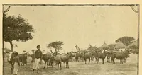 An illustration from ... Le Congo, historique, diplomatique, physique, politique, économique, humanitaire & colonial, ouvrage contenant une grande carte en quatre feuilles, tirée en couleurs (1894)
