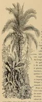An illustration from Le Congo illustré (1891)