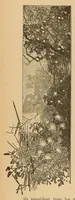 An illustration from Le Congo illustré (1891)
