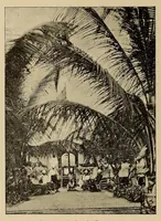An illustration from Le Congo illustré (1891)