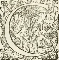 An illustration from Leçons de perspective positive (1676)