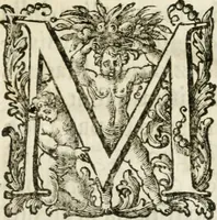 An illustration from Le corone del merito solennemente distribuite sul Campidoglio il dì 19. aprile MDCCIII. dall'Accademia del disegno : presedendo Carlo Maratti, celebre dipintore (1703)