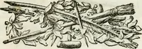An illustration from Le corone del merito solennemente distribuite sul Campidoglio il dì 19. aprile MDCCIII. dall'Accademia del disegno : presedendo Carlo Maratti, celebre dipintore (1703)