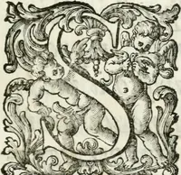 An illustration from Le corone del merito solennemente distribuite sul Campidoglio il dì 19. aprile MDCCIII. dall'Accademia del disegno : presedendo Carlo Maratti, celebre dipintore (1703)