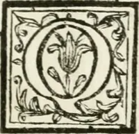 An illustration from Le corone del merito solennemente distribuite sul Campidoglio il dì 19. aprile MDCCIII. dall'Accademia del disegno : presedendo Carlo Maratti, celebre dipintore (1703)