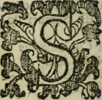 An illustration from Le cose maravigliose dell'alma citta di Roma : anfiteatro del mondo (1600)
