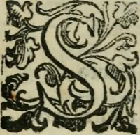 An illustration from Le cose maravigliose dell'alma citta di Roma : anfiteatro del mondo (1600)