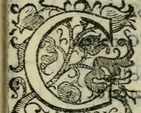 An illustration from Le cose maravigliose dell'alma citta di Roma : anfiteatro del mondo (1600)