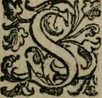 An illustration from Le cose maravigliose dell'alma citta di Roma : anfiteatro del mondo (1600)