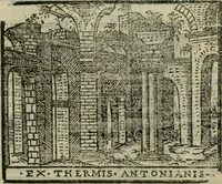 Picture 134 of 203 from Le cose maravigliose dell'alma citta di Roma : anfiteatro del mondo (1600), leaf 224