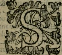 An illustration from Le cose maravigliose dell'alma citta di Roma : anfiteatro del mondo (1600)