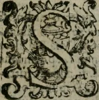 Picture 16 of 203 from Le cose maravigliose dell'alma citta di Roma : anfiteatro del mondo (1600), leaf 29