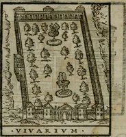 Picture 199 of 203 from Le cose maravigliose dell'alma citta di Roma : anfiteatro del mondo (1600), leaf 327