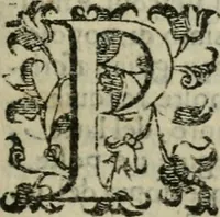 An illustration from Le cose maravigliose dell'alma citta di Roma : anfiteatro del mondo (1600)