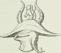 Picture 88 of 325 from Le Costume au Moyen âge d'après les sceaux ... (1880), leaf 156