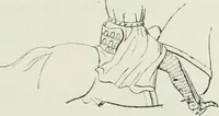 Picture 110 of 325 from Le Costume au Moyen âge d'après les sceaux ... (1880), leaf 194