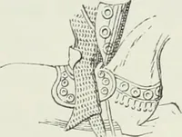 An illustration from Le Costume au Moyen âge d'après les sceaux ... (1880)