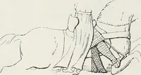 An illustration from Le Costume au Moyen âge d'après les sceaux ... (1880)