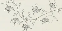 An illustration from Le Costume au Moyen âge d'après les sceaux ... (1880)