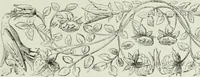 An illustration from Le Costume au Moyen âge d'après les sceaux ... (1880)