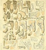 Picture 55 of 118 from Le costume historique. Cinq cents planches, trois cents en couleurs, or et argent, deux cents en camaieu. Types principaux du vêtement et de la parure, rapprochés de ceux de l'intérieur de l'habitation dans tous les temps et chez tous les peuples, avec de nombreux détails sur le mobilier, les armes, les objets usuels, les moyens de transport, etc (1888), leaf 303