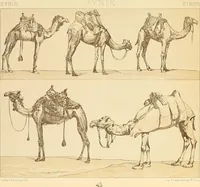 An illustration from Le costume historique. Cinq cents planches, trois cents en couleurs, or et argent, deux cents en camaieu. Types principaux du vêtement et de la parure, rapprochés de ceux de l'intérieur de l'habitation dans tous les temps et chez tous les peuples, avec de nombreux détails sur le mobilier, les armes, les objets usuels, les moyens de transport, etc (1888)