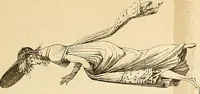 An illustration from Le costume historique. Cinq cents planches, trois cents en couleurs, or et argent, deux cents en camaieu. Types principaux du vêtement et de la parure, rapprochés de ceux de l'intérieur de l'habitation dans tous les temps et chez tous les peuples, avec de nombreux détails sur le mobilier, les armes, les objets usuels, les moyens de transport, etc (1888)