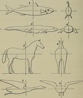 Picture 3 of 3 from Lectures and essays (1879), leaf 107