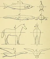 Picture 3 of 3 from Lectures and essays by William Kingdon Clifford (1879), leaf 107