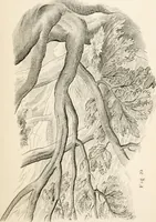 An illustration from Lectures on architecture and painting : delivered at Edinburgh in November 1853 (1856)