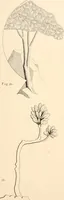 An illustration from Lectures on architecture and painting, delivered at Edinburgh in November, 1853 (1854)
