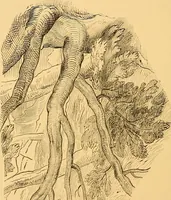 An illustration from Lectures on architecture and painting, delivered at Edinburgh in November 1853 (1892)