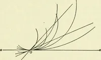 An illustration from Lectures on fundamental concepts of algebra and geometry (1911)