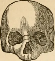 An illustration from Lectures on phrenology, including its application to the present and prospective condition of the United States (1840)