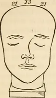 Picture 23 of 30 from Lectures on phrenology, including its application to the present and prospective condition of the United States (1840), leaf 230