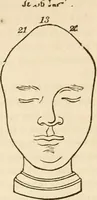 An illustration from Lectures on phrenology, including its application to the present and prospective condition of the United States (1840)