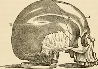 An illustration from Lectures on phrenology, including its application to the present and prospective condition of the United States (1840)