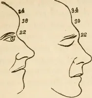 An illustration from Lectures on phrenology, including its application to the present and prospective condition of the United States (1840)