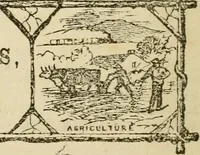 Picture 30 of 30 from Lectures on phrenology, including its application to the present and prospective condition of the United States (1840), leaf 401