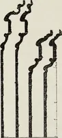 Picture 74 of 145 from Lectures on the rise and development of mediæval architecture (1879), leaf 191