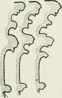An illustration from Lectures on the rise and development of mediæval architecture (1879)